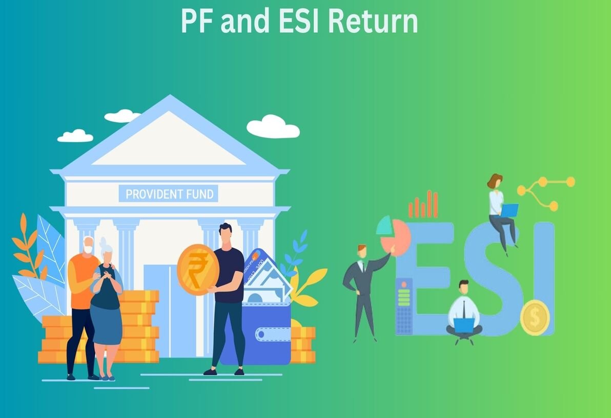 Return Filing Services